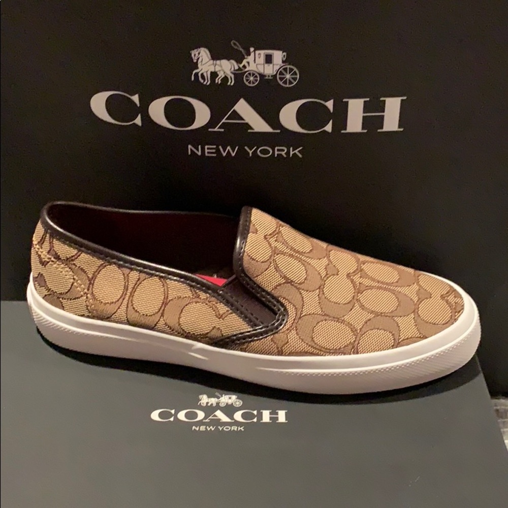 Coach Chrissy sneakers